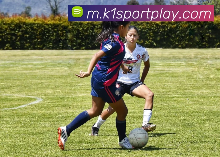 K1体育APP 封面图